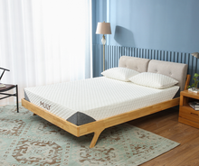 Harmony Plus Deluxe Memory Foam Mattress By MLily Usa - Medium - Mod Designs